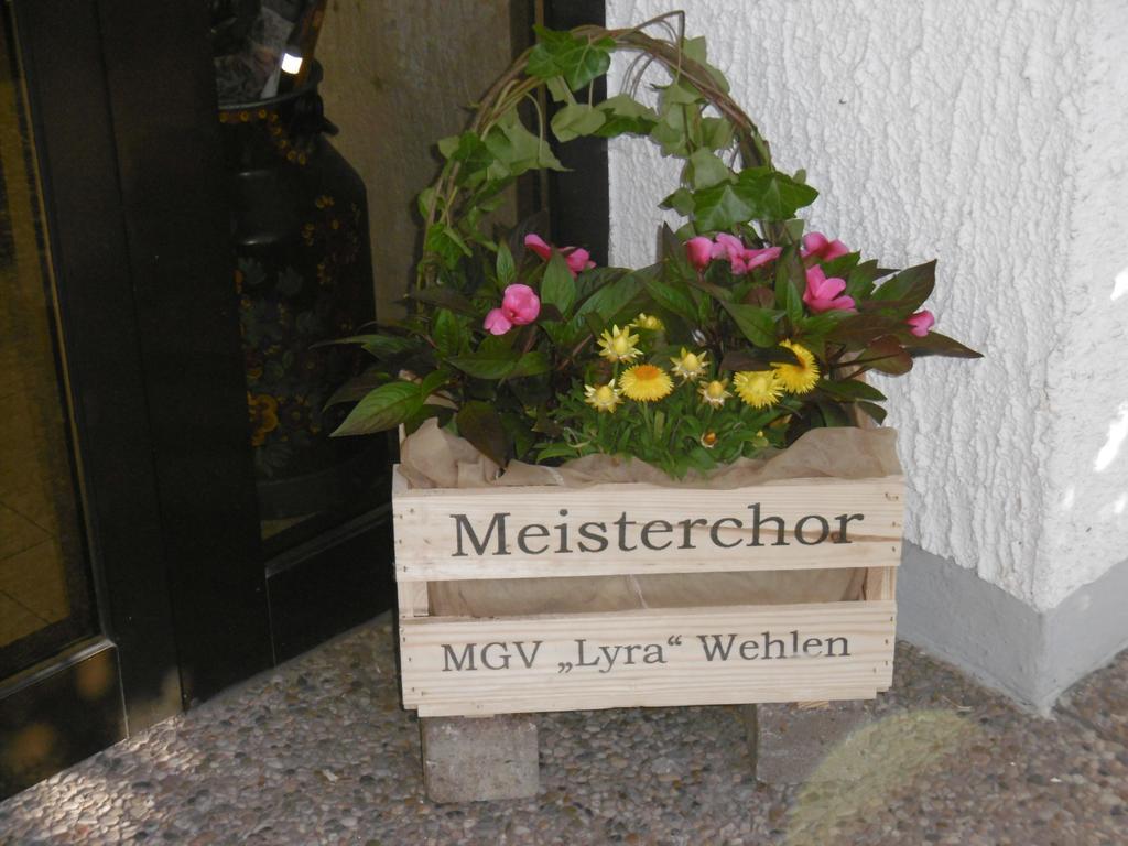 Haus Hochwaldhoehe Морбах Екстериор снимка
