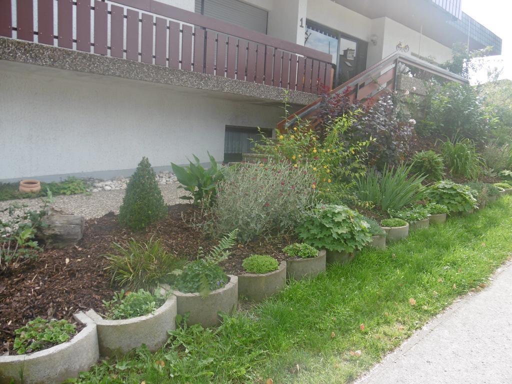 Haus Hochwaldhoehe Морбах Екстериор снимка